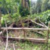 Perambahan Hutan Pendem Jembrana Sedot Perhatian