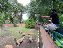 Kebun Binatang Surabaya Jadi Pilihan Keluarga Libur Lebaran 2026