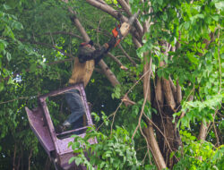 DLH Surabaya Siagakan Tujuh Rayon Taman