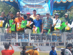 Hattrick Poin Warna Full, Gelora Cinta Jawara Perkutut LHS Unesa