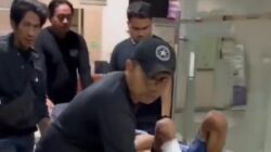Pelaku Curat