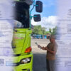 25 Ekor Sapi Bali Tersandung SKKH Palsu Diduga Lolos ke Jawa