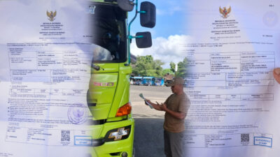 25 Ekor Sapi Bali Tersandung SKKH Palsu Diduga Lolos ke Jawa