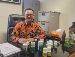 Kratom di Persimpangan Jalan: Antara Jerat Narkotika dan Potensi Devisa Negara