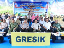 Polres Gresik Sukses Panen Raya Jagung Serentak