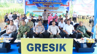 Polres Gresik Sukses Panen Raya Jagung Serentak