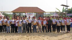 Voli Pantai