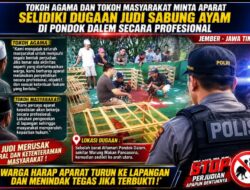Warga Minta Polisi Usut Dugaan Judi Sabung Ayam di Jember