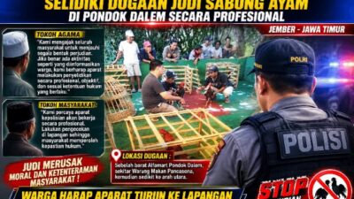 Warga Minta Polisi Usut Dugaan Judi Sabung Ayam di Jember
