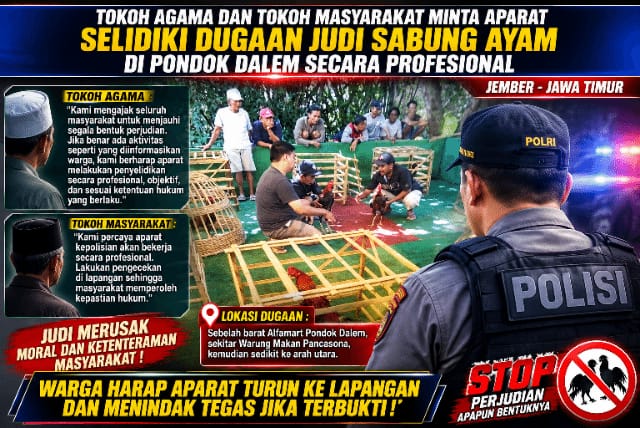 Sabung Ayam