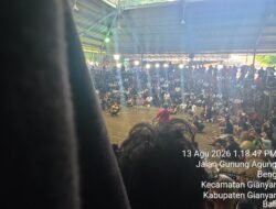 Setra Beng Gianyar Diduga Kuat Jadi Ajang Judi Tajen Bebotoh