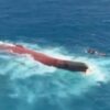 Diduga Cuaca Buruk, Kapal Virgo Transport 8 Terbalik di Laut Jawa