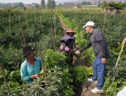 Cak Nur Wali Kota Batu Sapa Warga