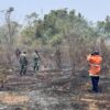 Cuaca Panas, Lahan Kosong Maduratek Bangkalan Terbakar