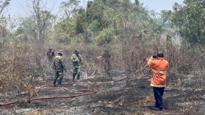 Cuaca Panas, Lahan Kosong Maduratek Bangkalan Terbakar