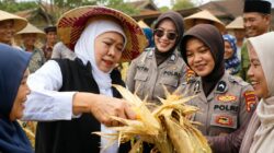 Gubernur Khofifah