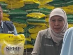 Pasar Murah HUT ke-81 Jatim di Ngrowo Mojokerto Diserbu Warga
