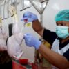 RPH Surabaya Siap Fasilitasi Pemotongan Ayam di Bratang